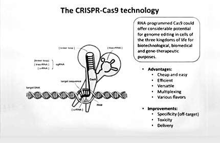 The Transformative CRISPR-Cas9 Technology in Genome Engineering: Lessons Learned from Bacteria