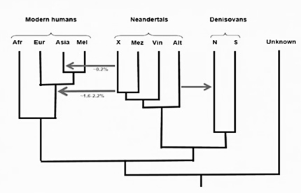 Ancient DNA View of Human Origins